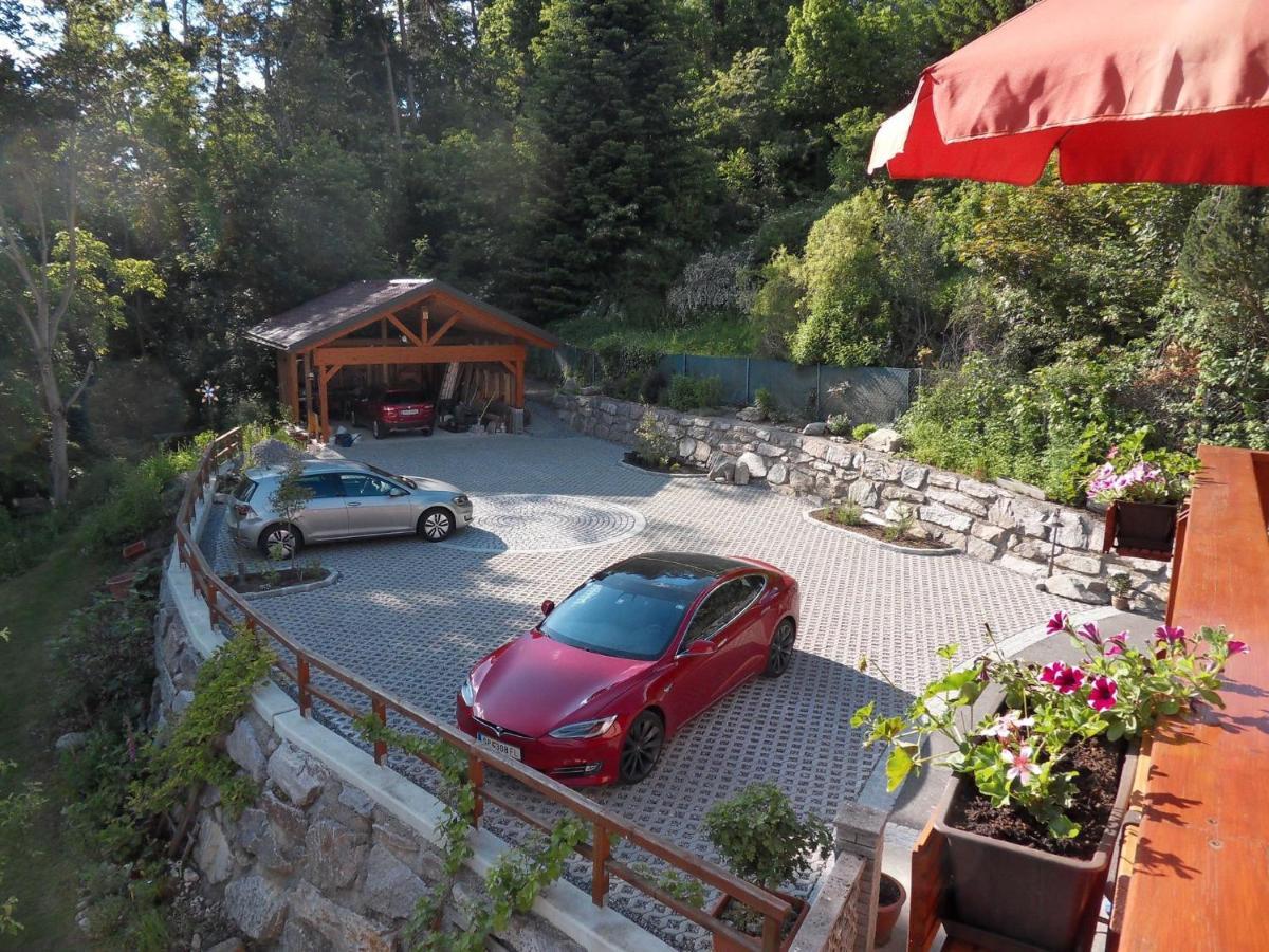 Fewo In Der Weinleiten Millstatt am See Zewnętrze zdjęcie