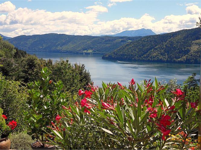 Fewo In Der Weinleiten Millstatt am See Zewnętrze zdjęcie