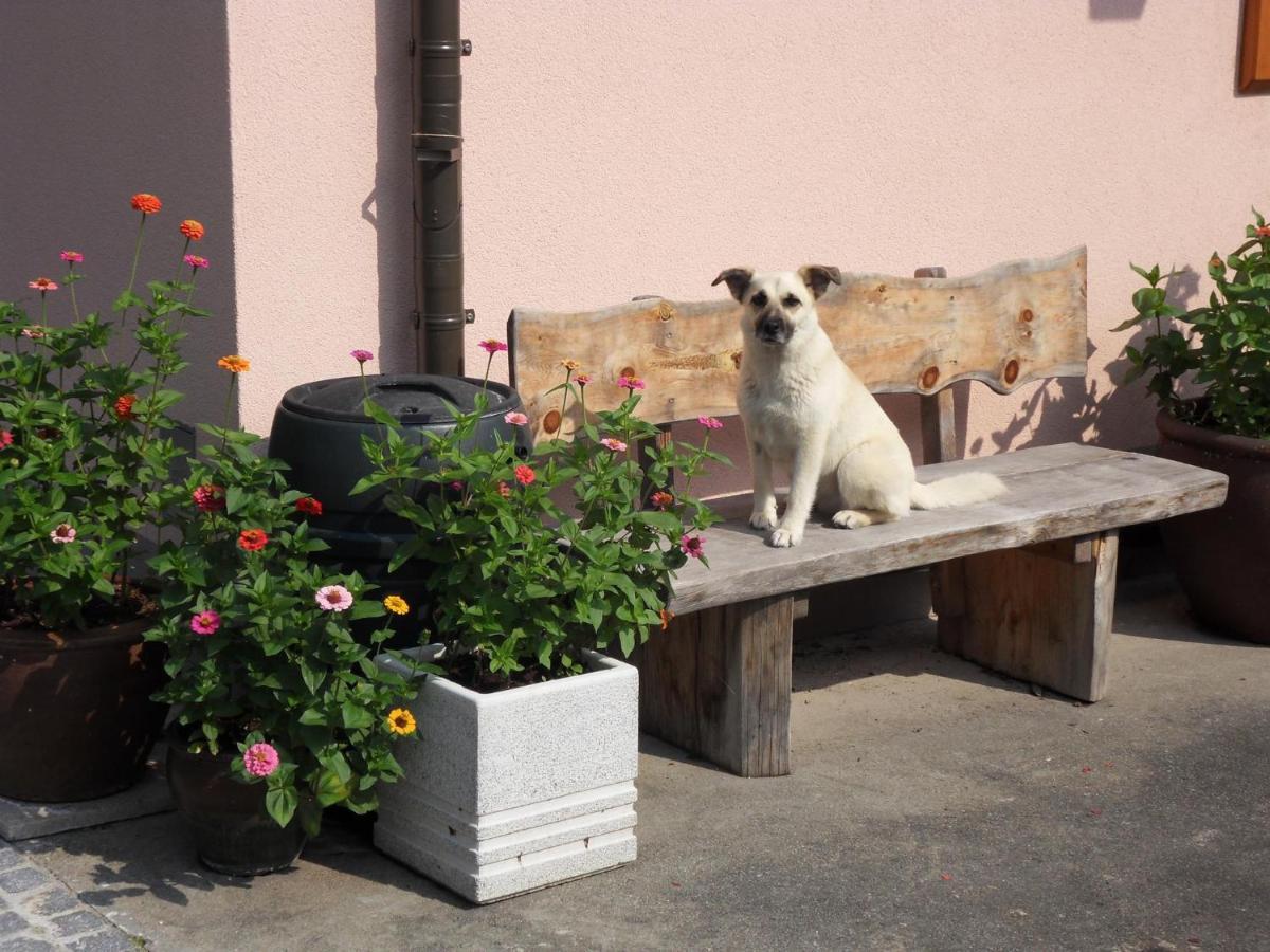 Fewo In Der Weinleiten Millstatt am See Zewnętrze zdjęcie